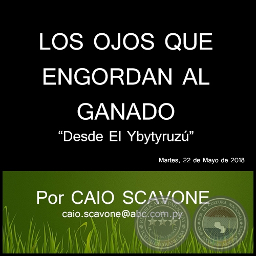 LOS OJOS QUE ENGORDAN AL GANADO - Desde El Ybytyruz - Por CAIO SCAVONE - Martes, 22 de Mayo de 2018  	